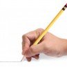educacion