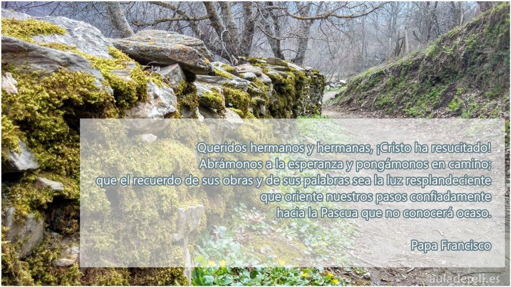 pascua2016_auladereli